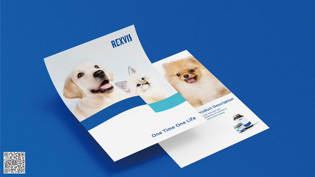 REXVIS力維士品牌&營銷包裝策劃設(shè)計