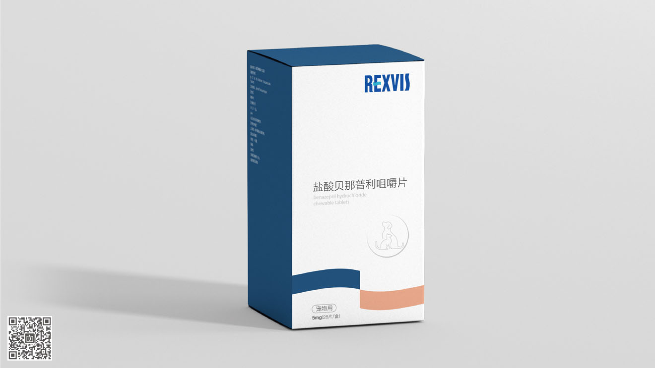 REXVIS力維士品牌&營銷包裝策劃設(shè)計